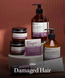 INSIGHT - DAMAGED HAIR
